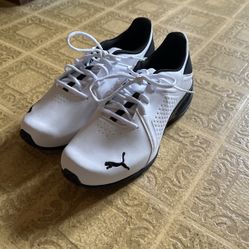 Black and White Pumas