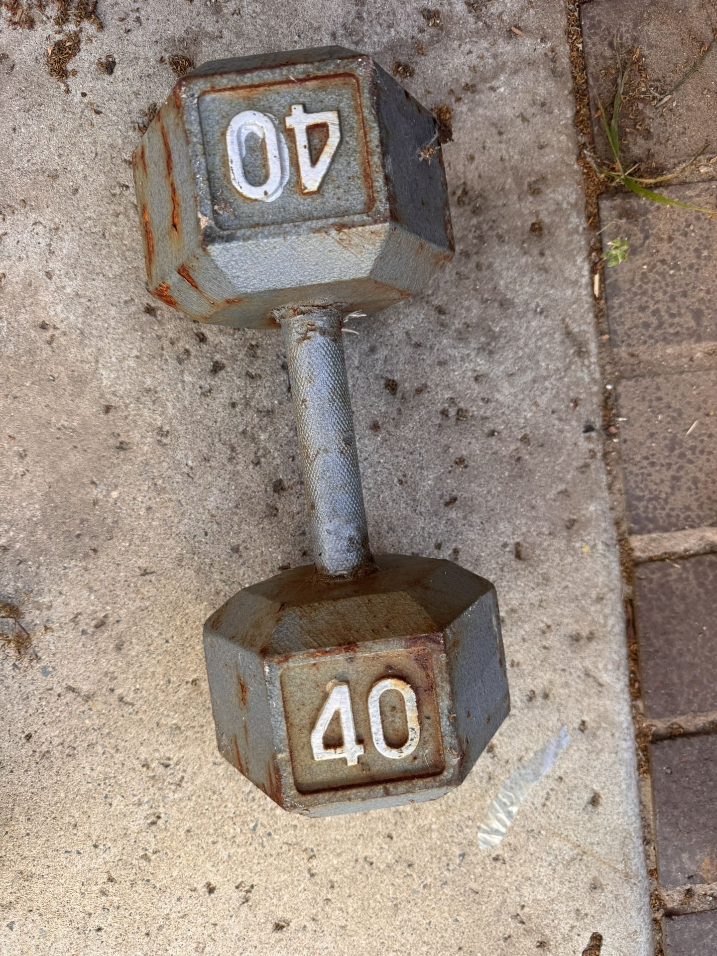 40 Pound Dumbbells