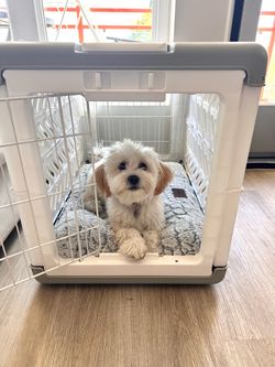 Dog Crate for Small breeds