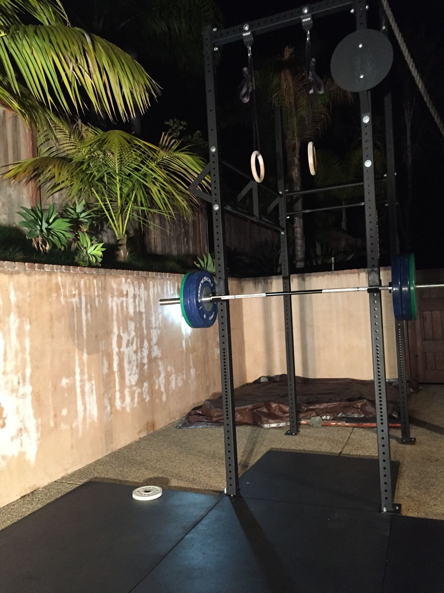 Rogue V2 Castro Rig