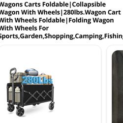 Folding Wagon 