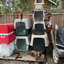 Dog Crates