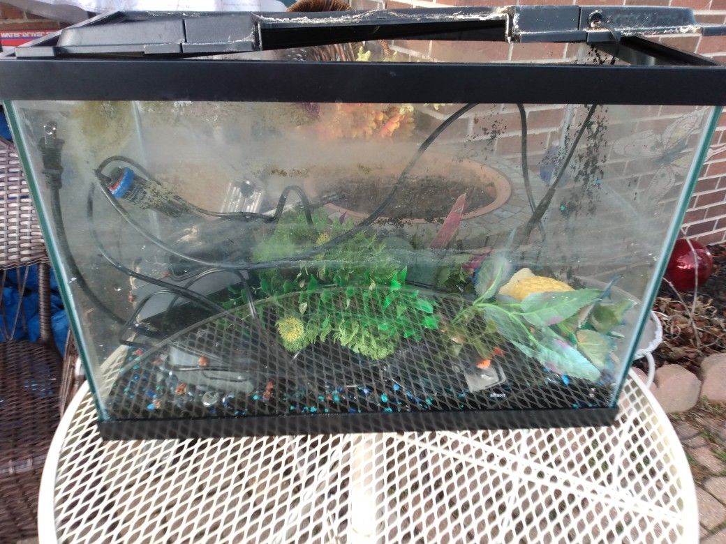 Fish Tank Everything Is There Just Put Water