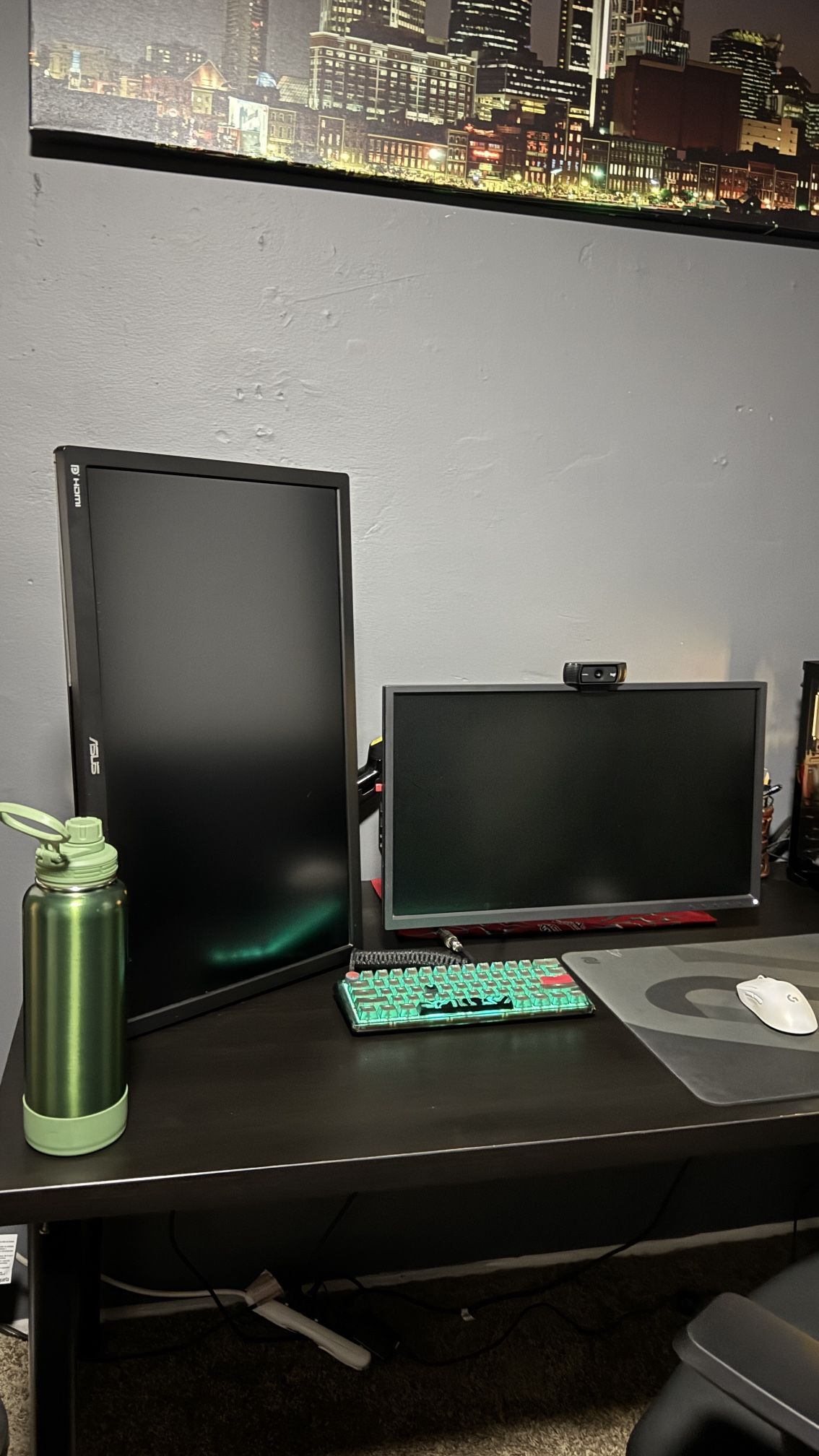 Dual Monitor Setup
