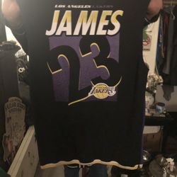 LA LAKERS #23 James Jersey 