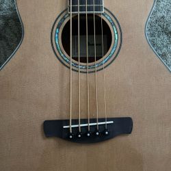5 String Bajoloche/ Acoustic Bass Ibanez 