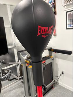 Everlast Reflex/Punching Bag