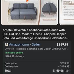 Couch With Pull Out Bed