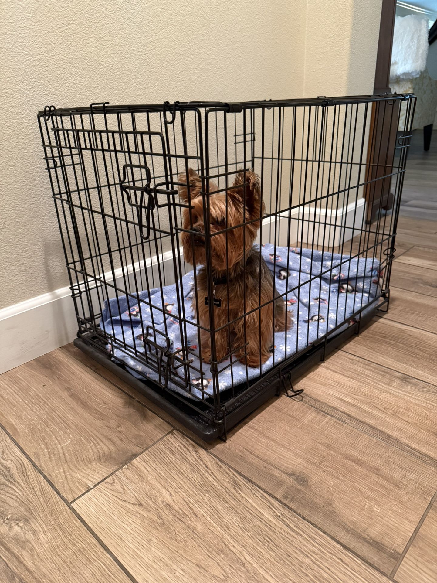 Dog Crate