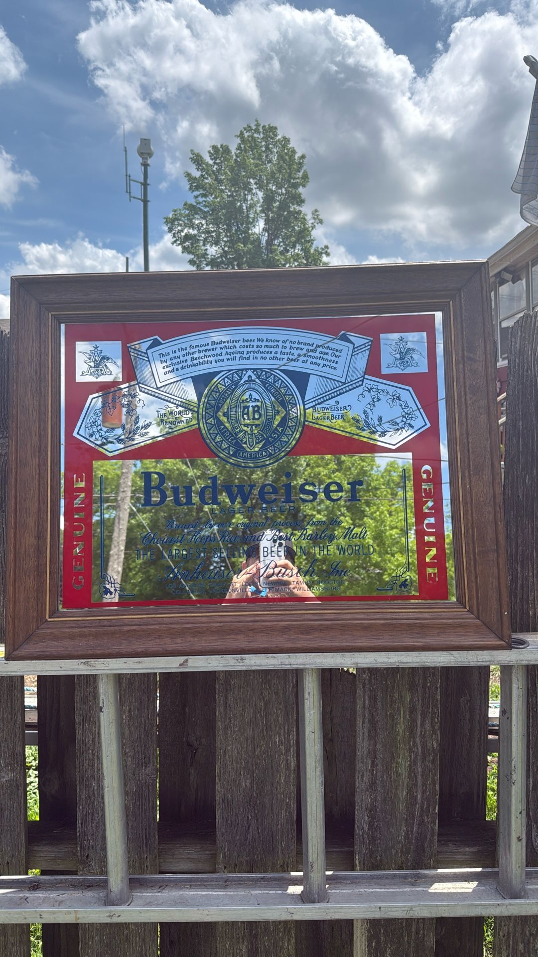 Beer Signs