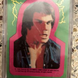 The Incredible Hulk The Hulk 1979 Trading Card Set. And Sticker Set