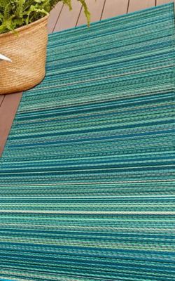 Outdoor/Indoor Area Rug