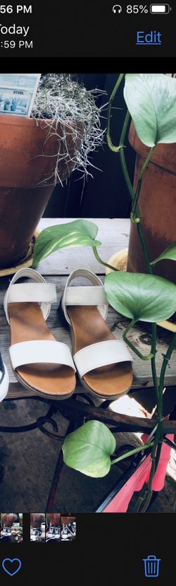 Steve Madden Sandals Size 12