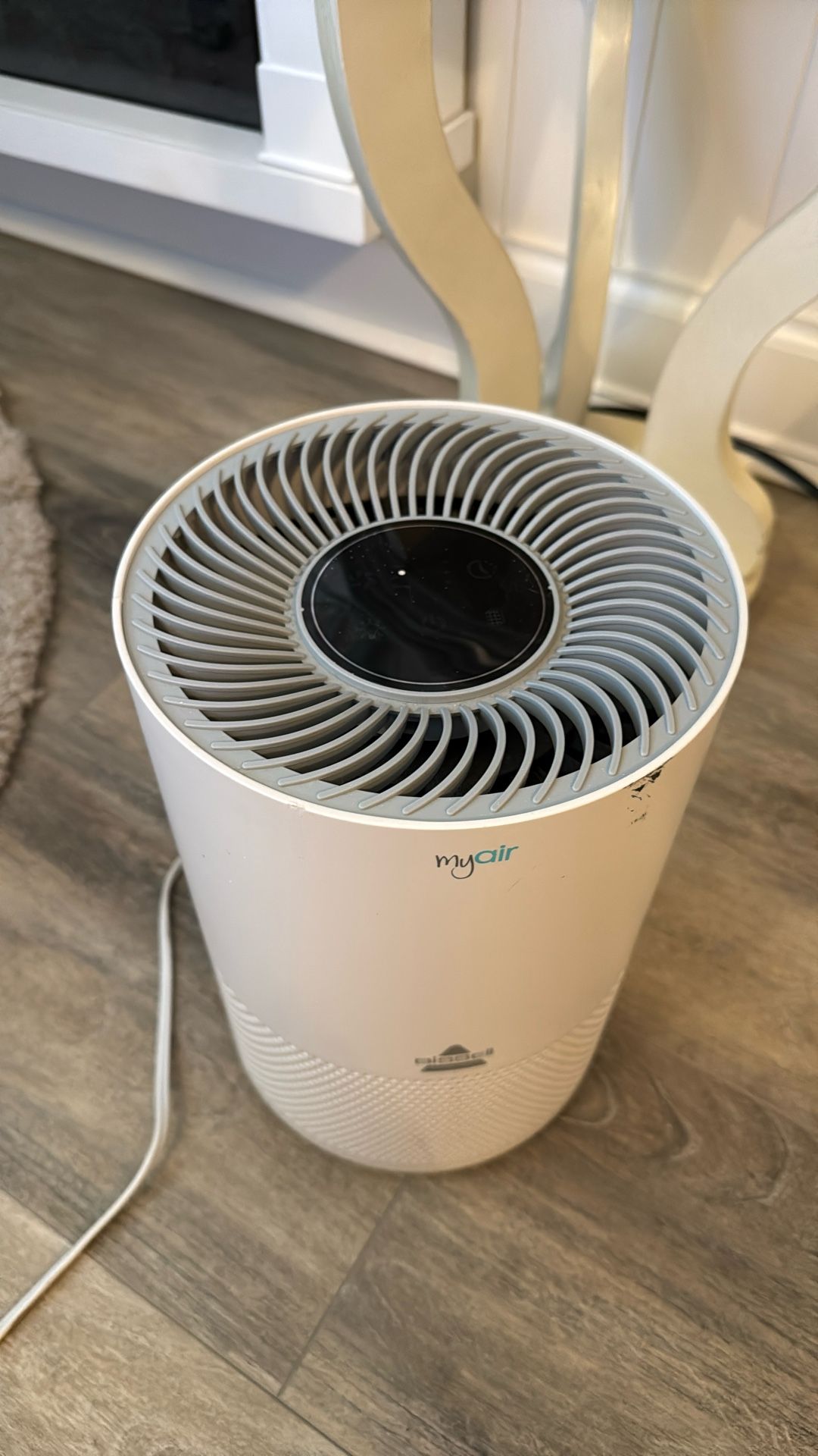 Air Filter - Bissel 