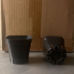 Juvale 100-Pack 2 Inch Plastic Seedling Pots for Plants, Small Square Starter Nursery Planters for Starting Seeds, Flowers, Succulents, Propagating, I