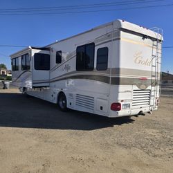 2004 Alfa See Ya Gold