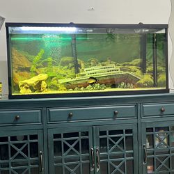 55 Gallon Aquarium / Fish Tank With Decor 