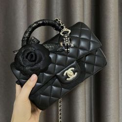 Beautiful Woman Handbag 