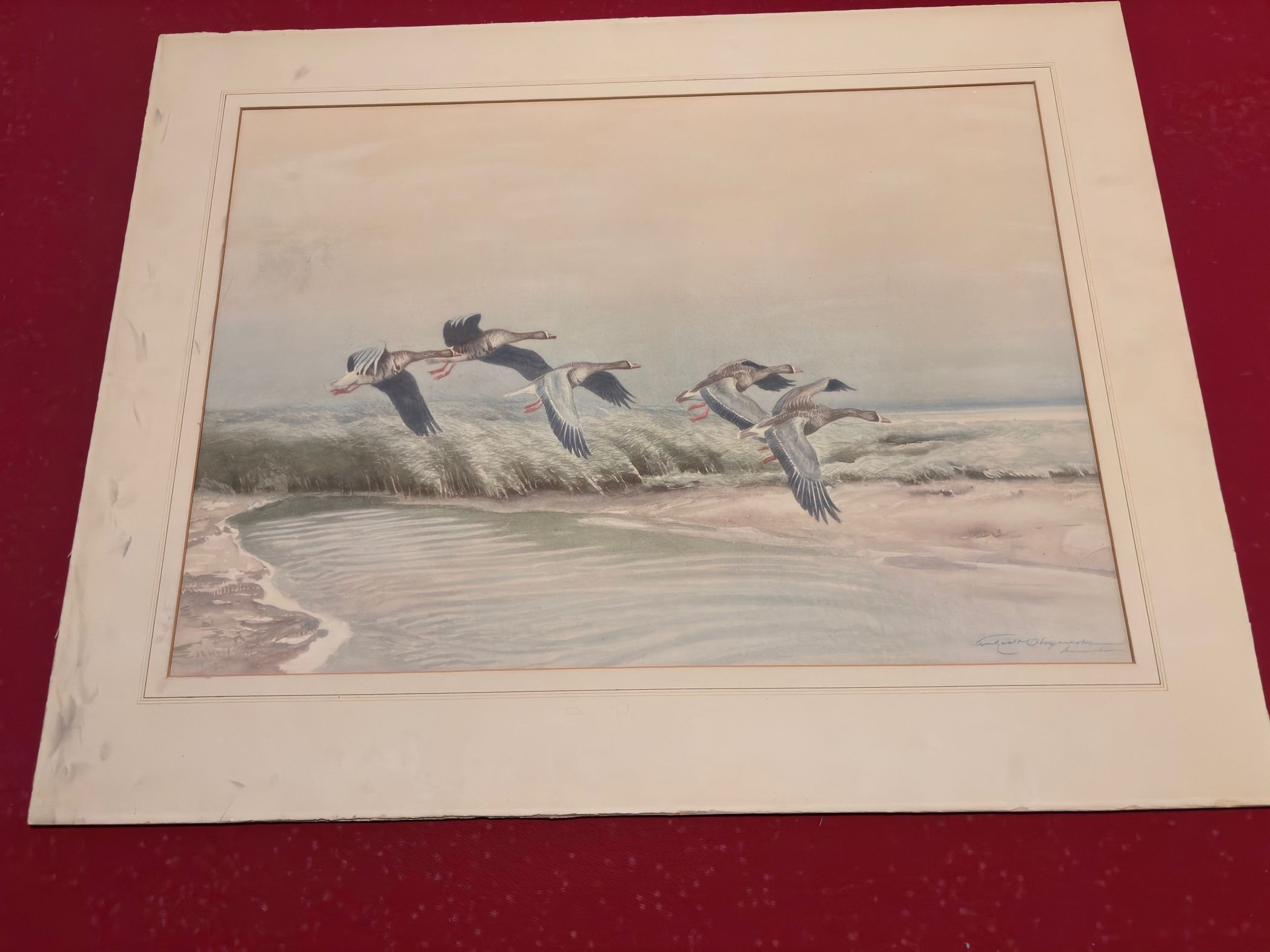 Vintage Geese Flying Watercolor Art