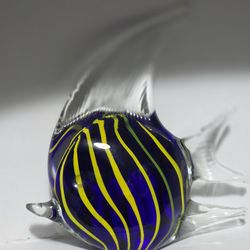 Glass fish