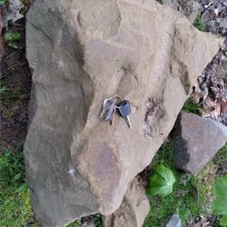 Rock Boulder Stone Real Natural Sandstone 