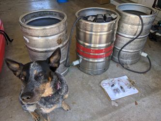 Beer Homebrew setup.