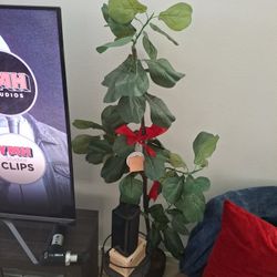 Beautiful Fake Plant.