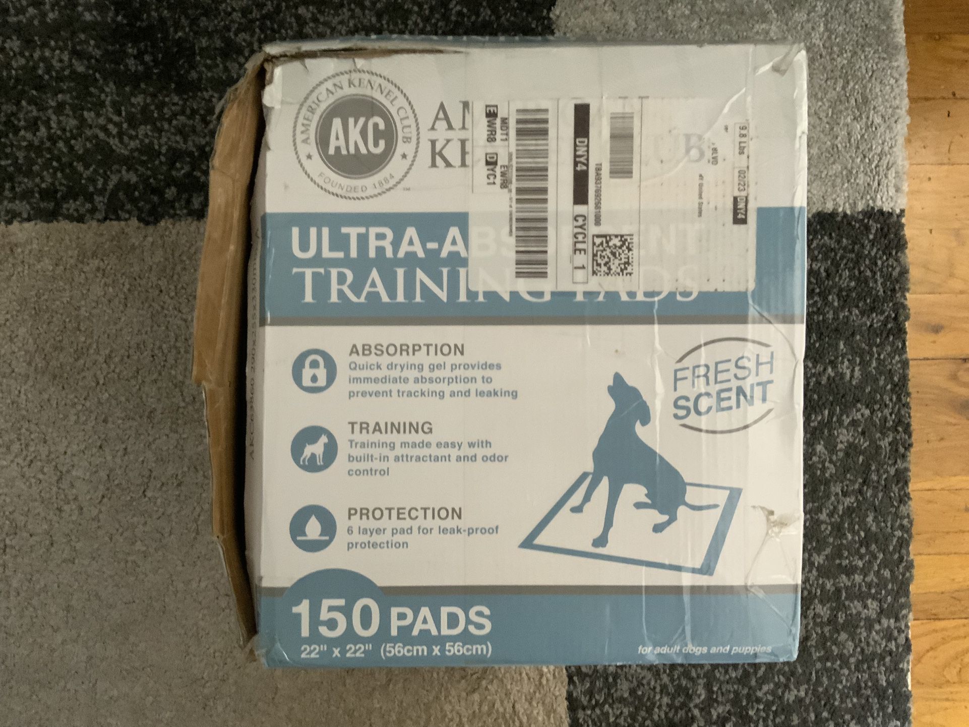 Ultra Absorbent Training Pads
