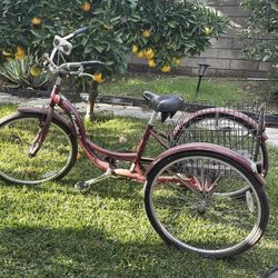 Schwinn 3 Wheel Bike
