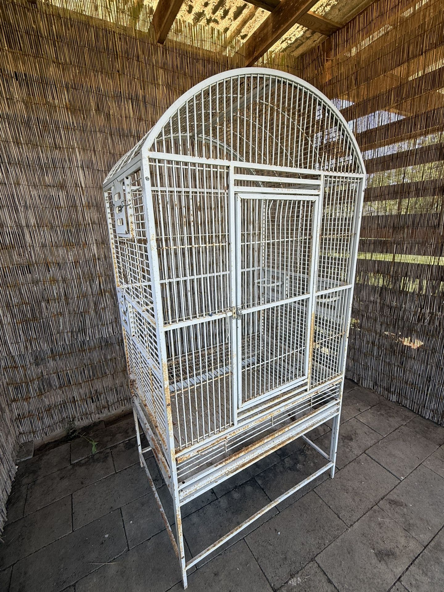 Bird Cage