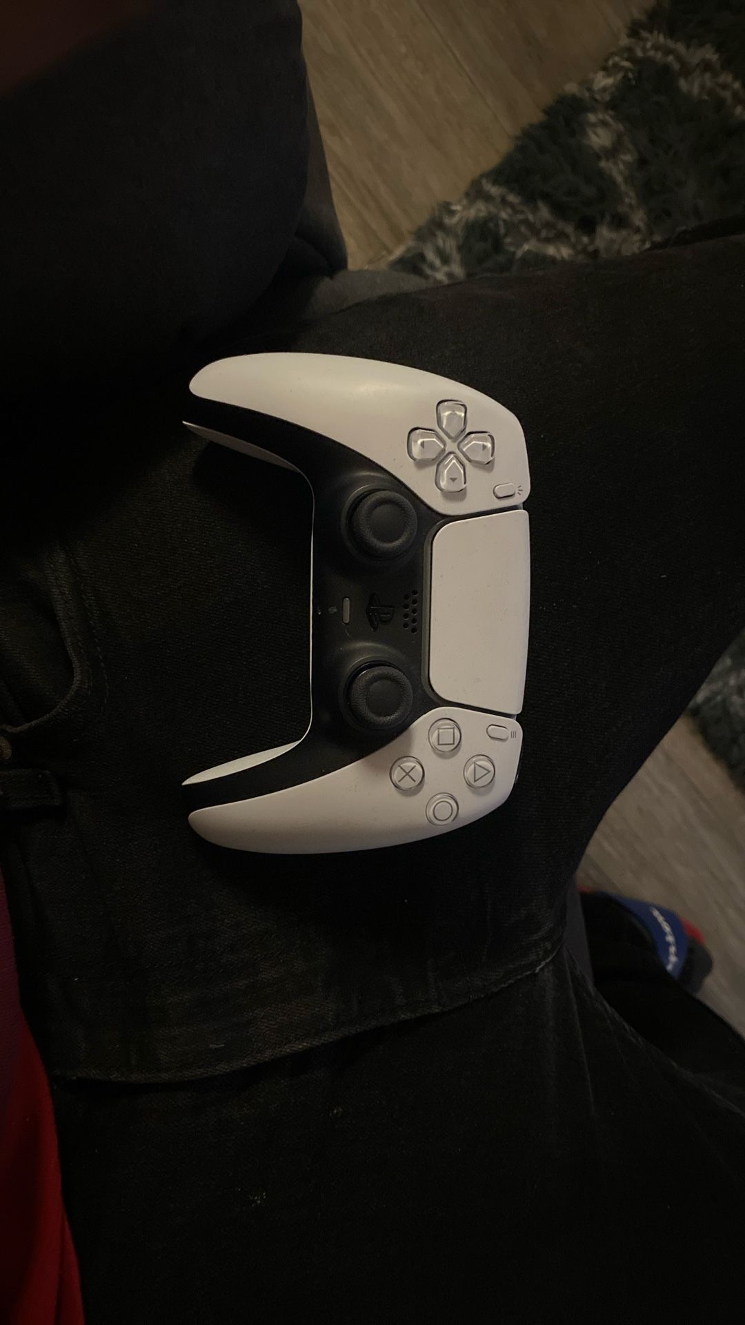 PS5 Controller