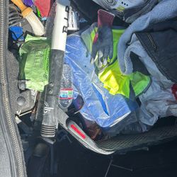 Bird Electric Scooter