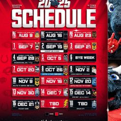 Houston Texans Tickets ALL Games