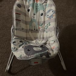Baby Bouncer