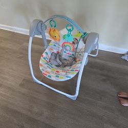 Infant Swing