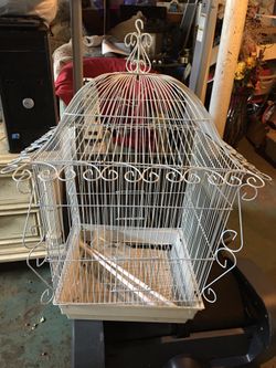 Bird cage, new