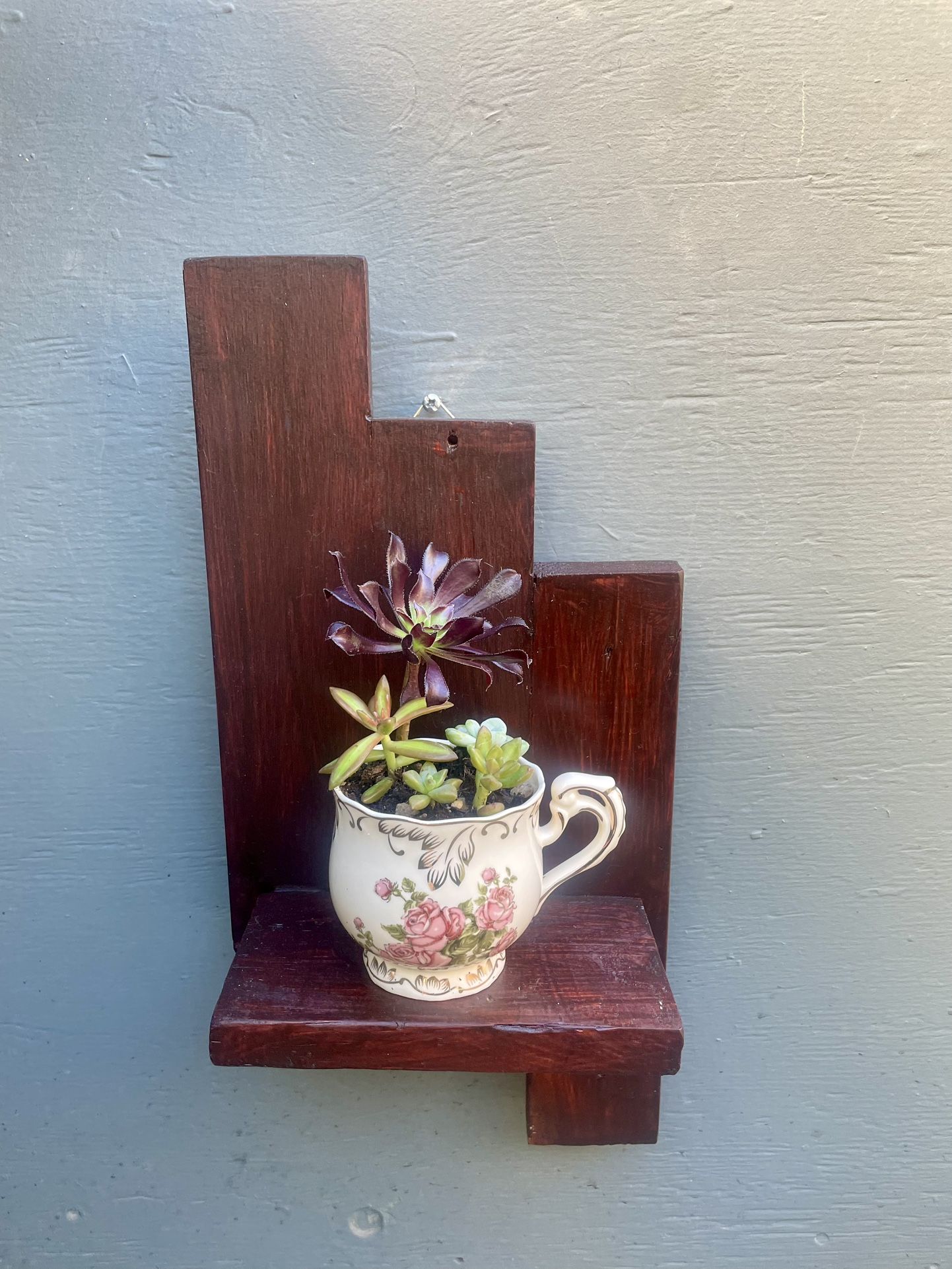 shelf with real succulents