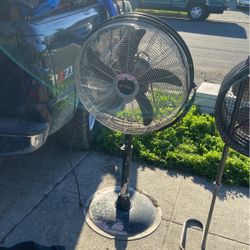 Fan