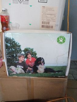 Best gifts for pets