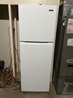 Fridge With Freezer
