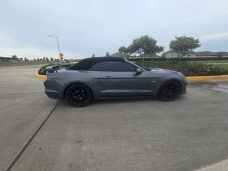 Cars mustang