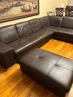 Brown Couch