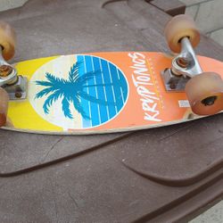 Kryptonics Skateboard Fat Mini