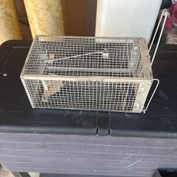 Squirrel trap cage