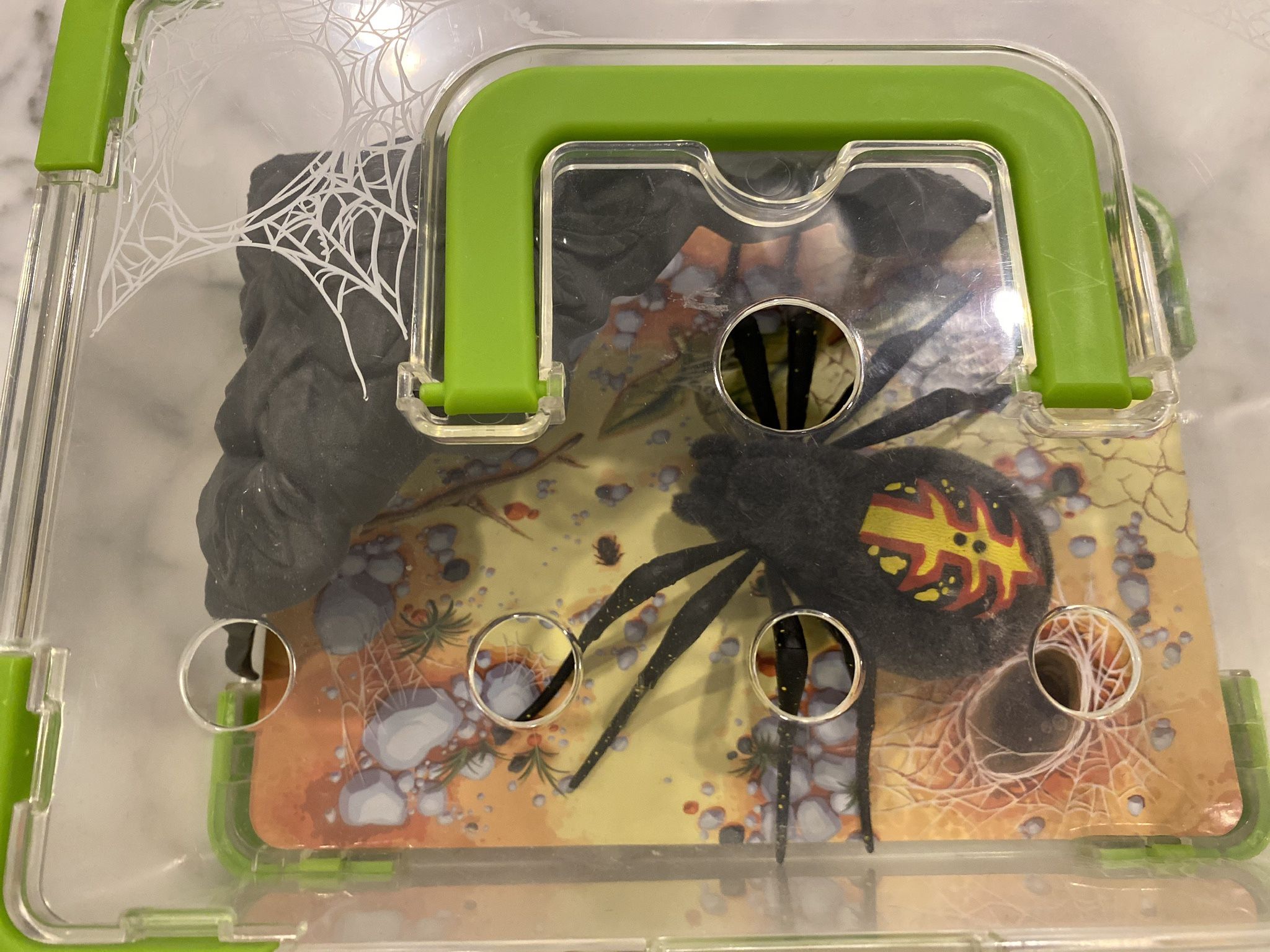 Wild Pets Spider Habitat From Moose Toys
