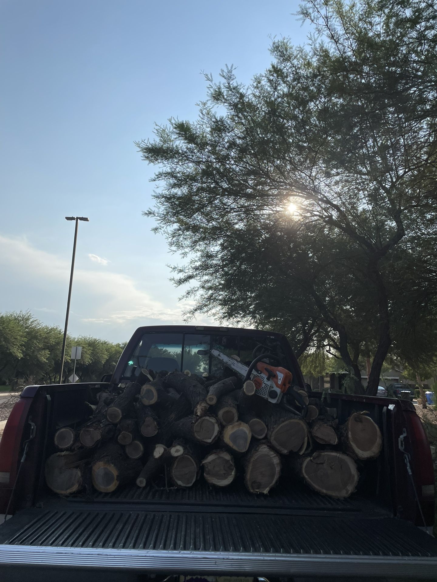fire wood mesquite logs