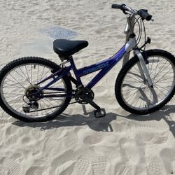 Trek Bicycle 