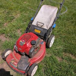 Toro 22in Smartstow Lawn Mower