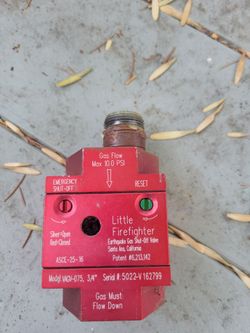Gas earthquake valve