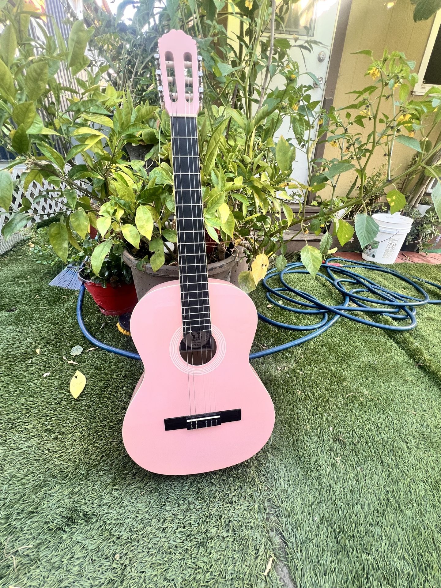 Pink Guitar 
